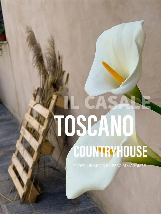 - Il Casale Toscano - 1900Mt From The Tower Of Pisa & Trains Station - Free Parking - No Breakfast - No Air Conditioning But Fan - Only Self Check-In Access From 3 Pm