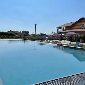 Vakantieboerderij Almavite Wine With Pool Italië